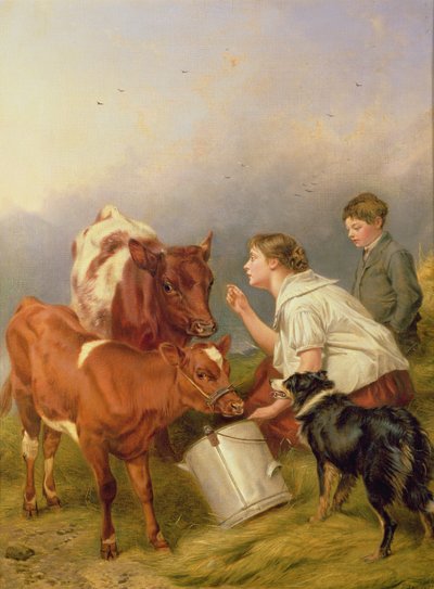 The Favoured Calf by Richard Ansdell